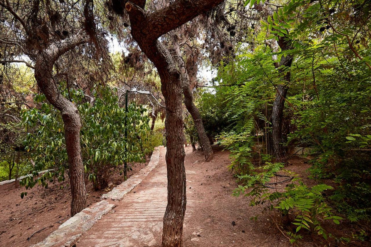 Myth2 - Hike Around Ancient Panathenaic Stadium Near Metro With View Of Big Park公寓 外观 照片