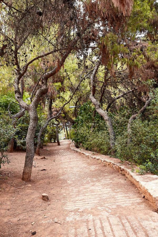 Myth2 - Hike Around Ancient Panathenaic Stadium Near Metro With View Of Big Park公寓 外观 照片